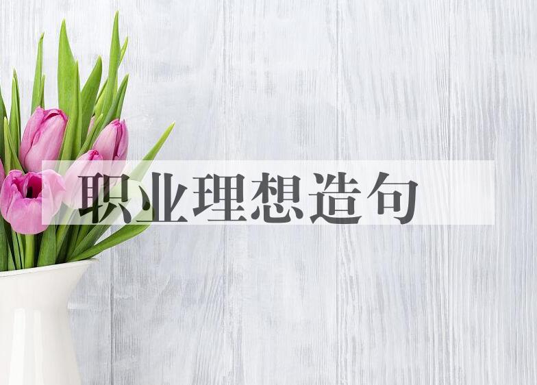 用职业理想造句