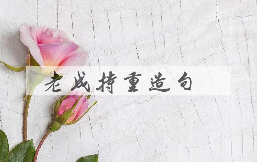 用老成持重造句