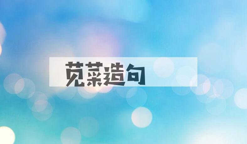 用苋菜造句