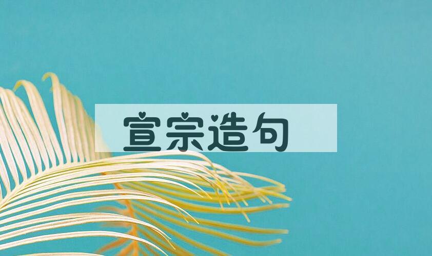 用宣宗造句