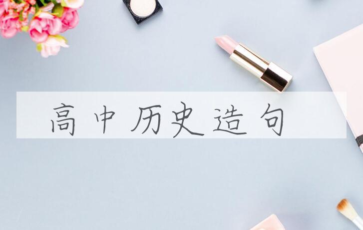 用高中历史造句