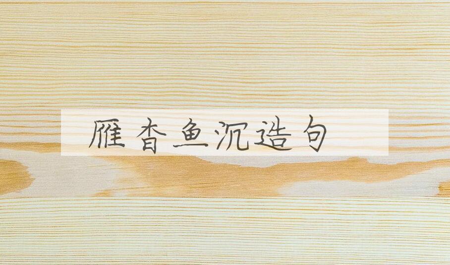 用雁杳鱼沉造句