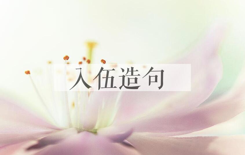 用入伍造句