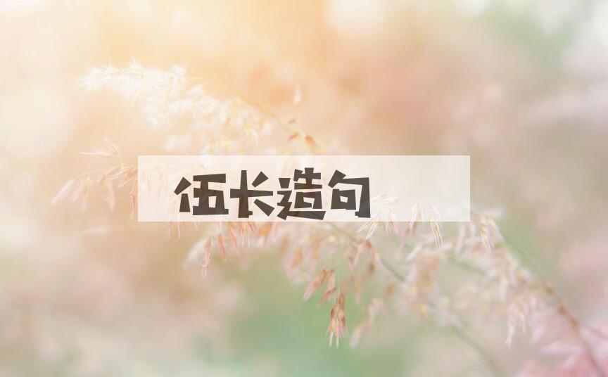 用伍长造句