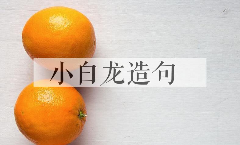 用小白龙造句