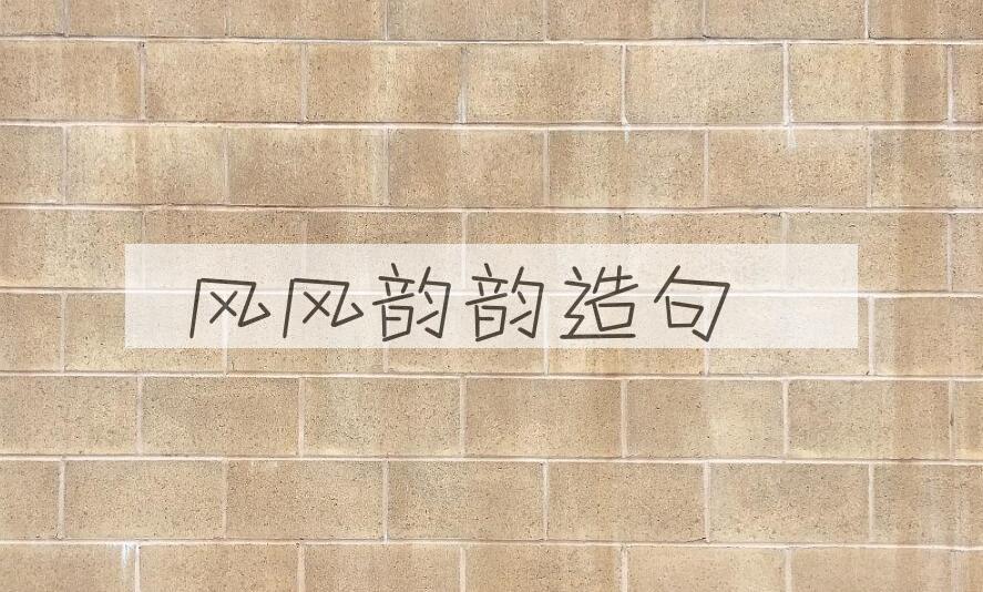 用风风韵韵造句