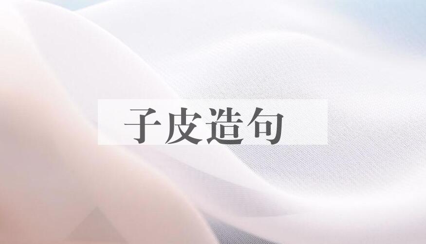 用子皮造句