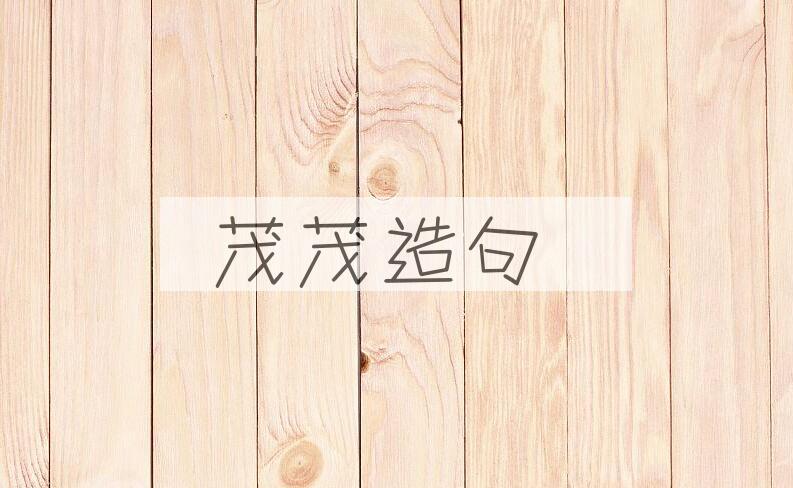 用茂茂造句