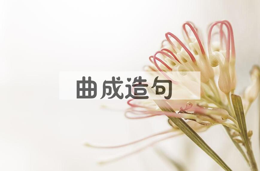 用曲成造句