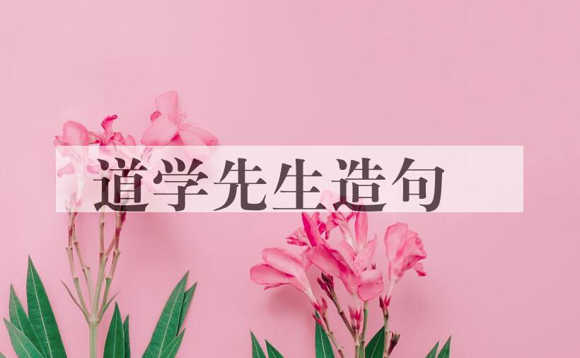 用道学先生造句