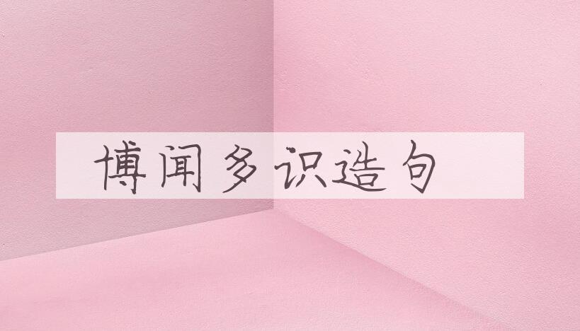 用博闻多识造句