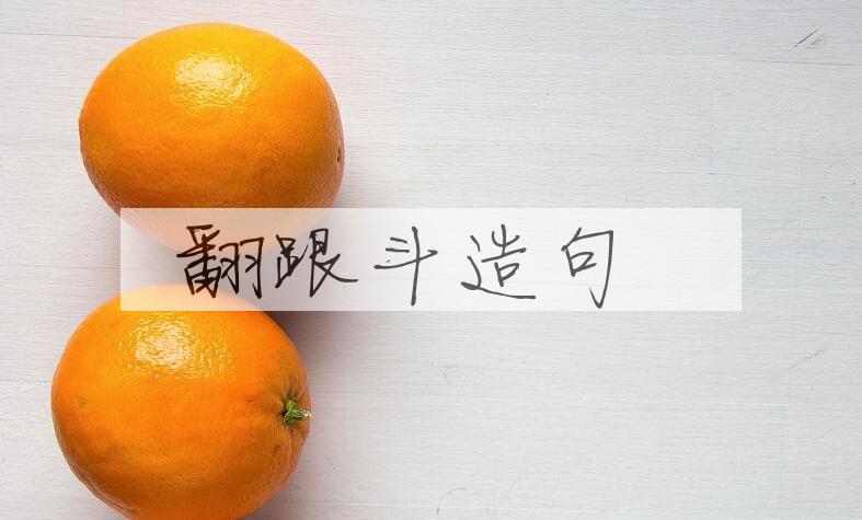 用翻跟斗造句
