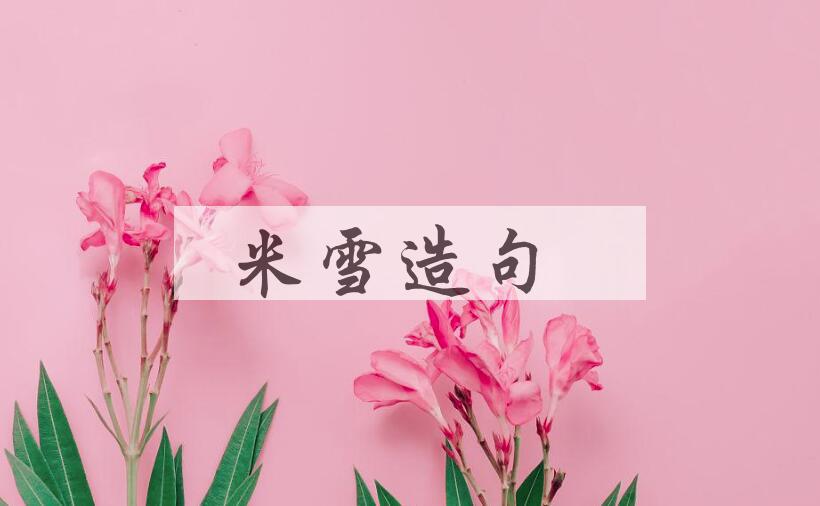 用米雪造句