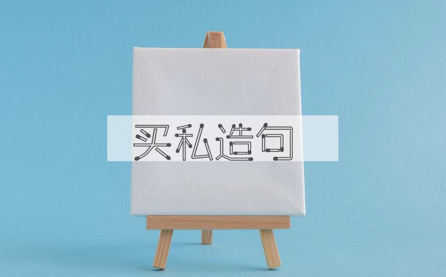 用买私造句