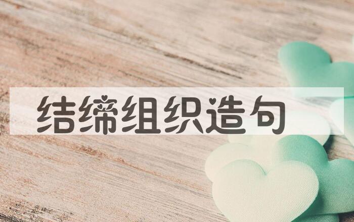 用结缔组织造句