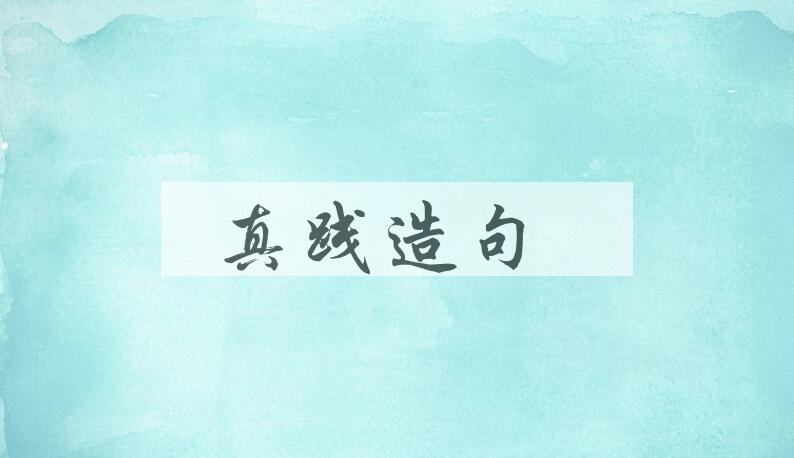 用真践造句