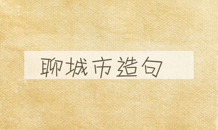 用聊城市造句