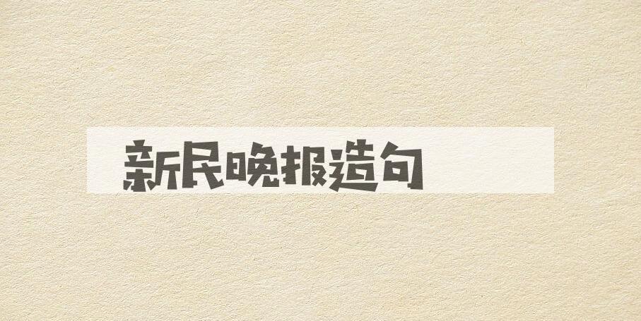 用新民晚报造句