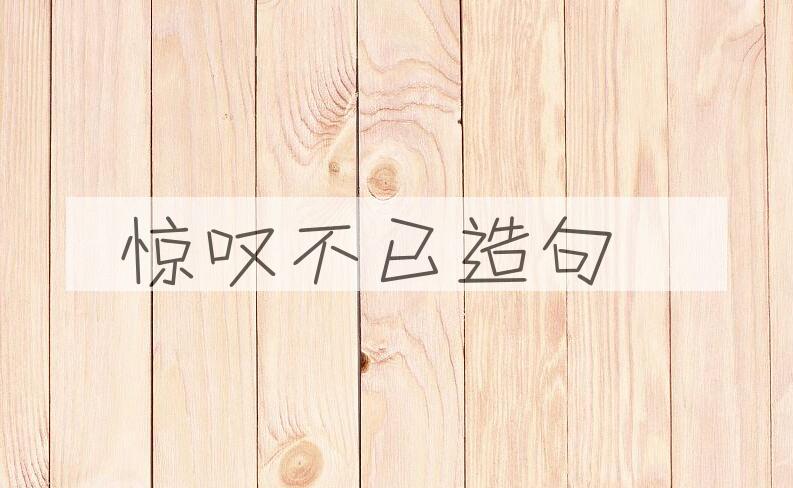 用惊叹不已造句