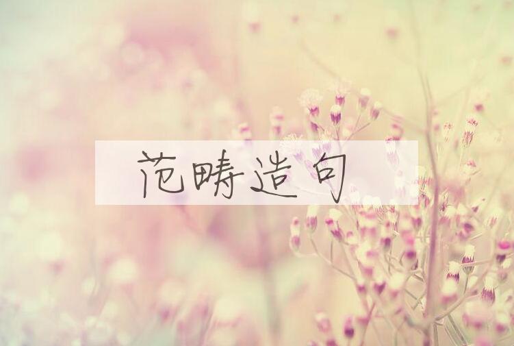 用范畴造句