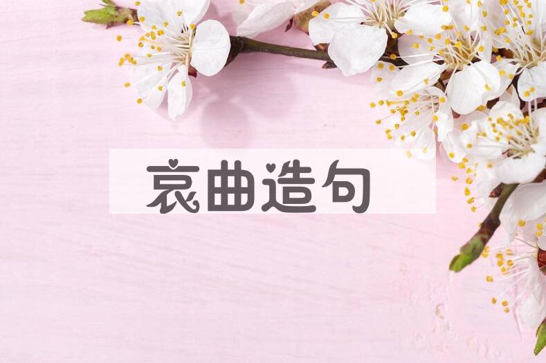 用哀曲造句