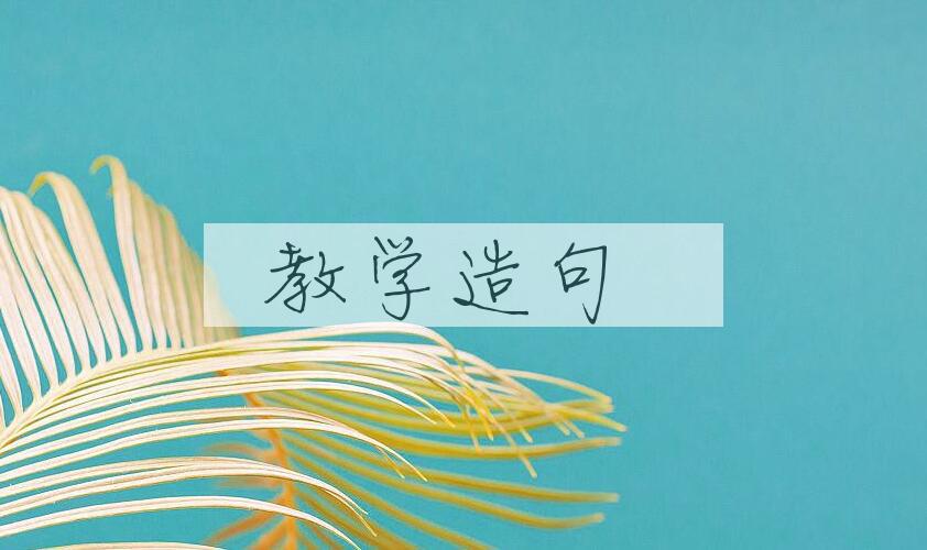 用教学造句