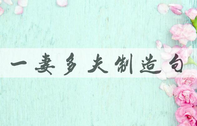 用一妻多夫制造句