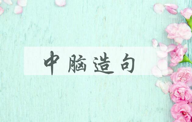 用中脑造句