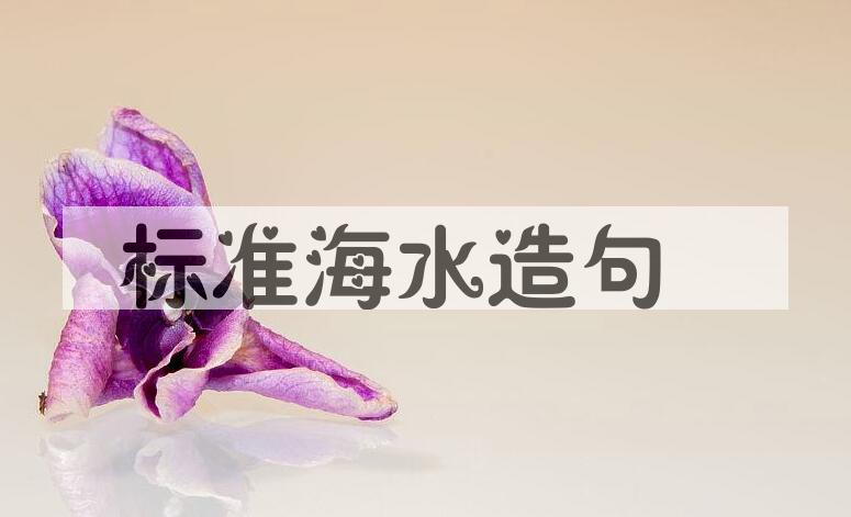 用标准海水造句