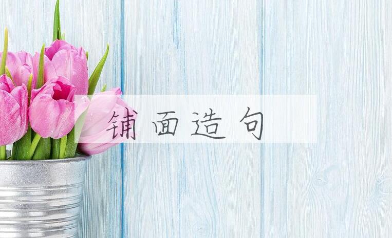 用铺面造句