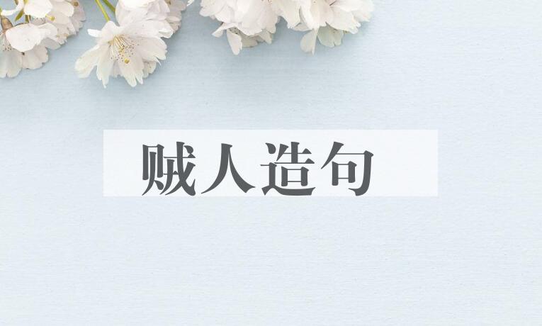 用贼人造句