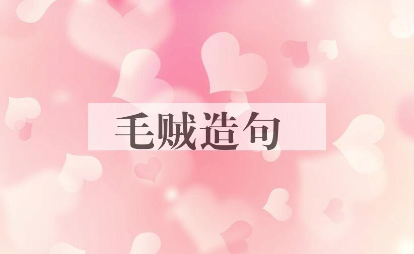 用毛贼造句