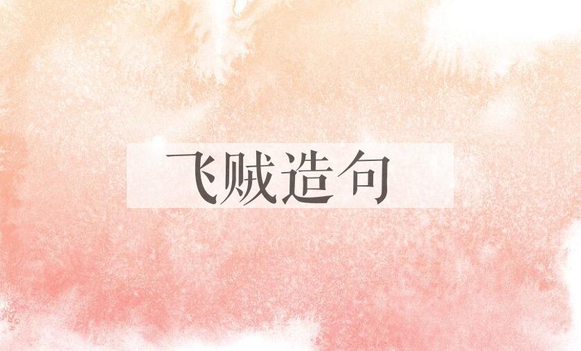用飞贼造句