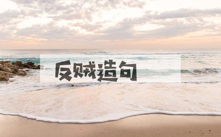 用反贼造句