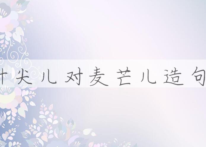 用针尖儿对麦芒儿造句
