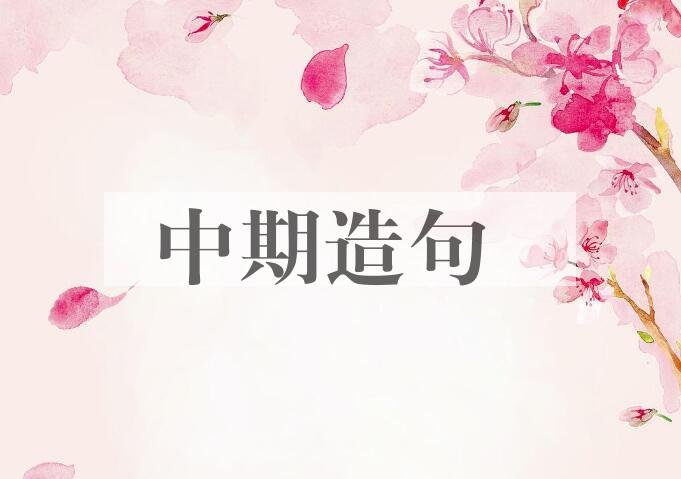 用中期造句