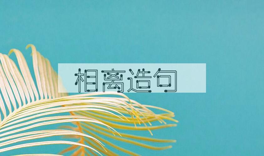 用相离造句