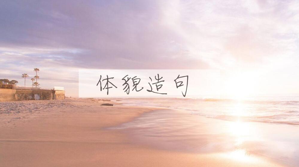 用体貌造句