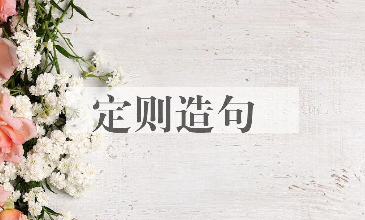 用定则造句