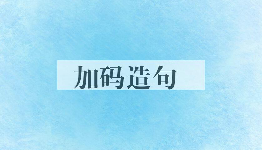 用加码造句