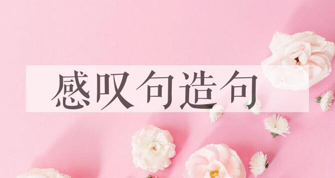 用感叹句造句