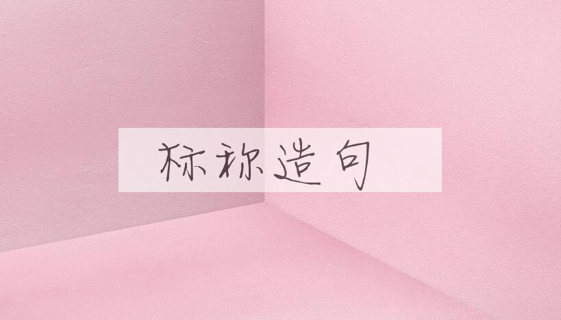 用标称造句