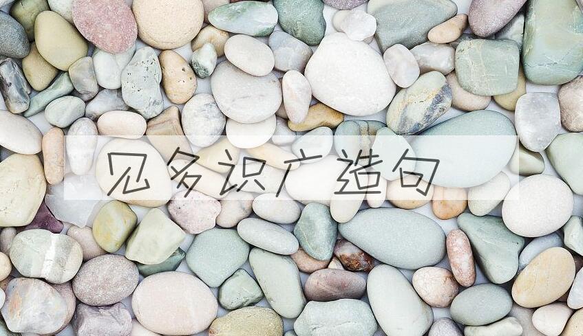 用见多识广造句