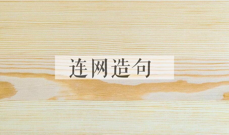 用连网造句