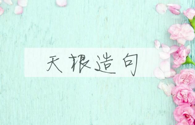 用天根造句