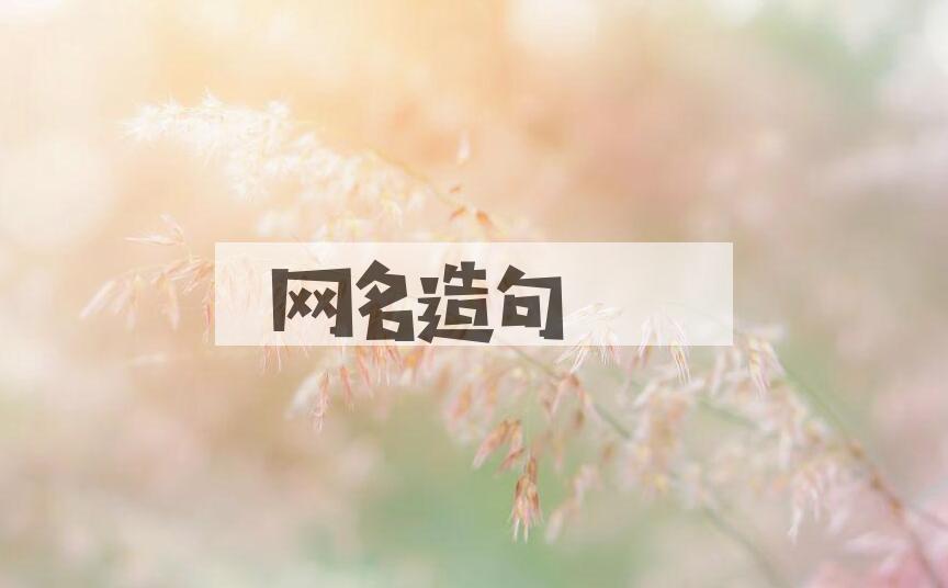 用网名造句