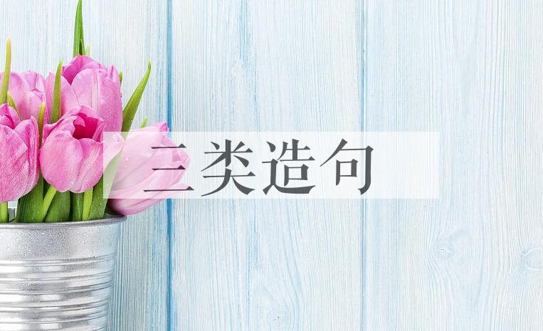 用三类造句