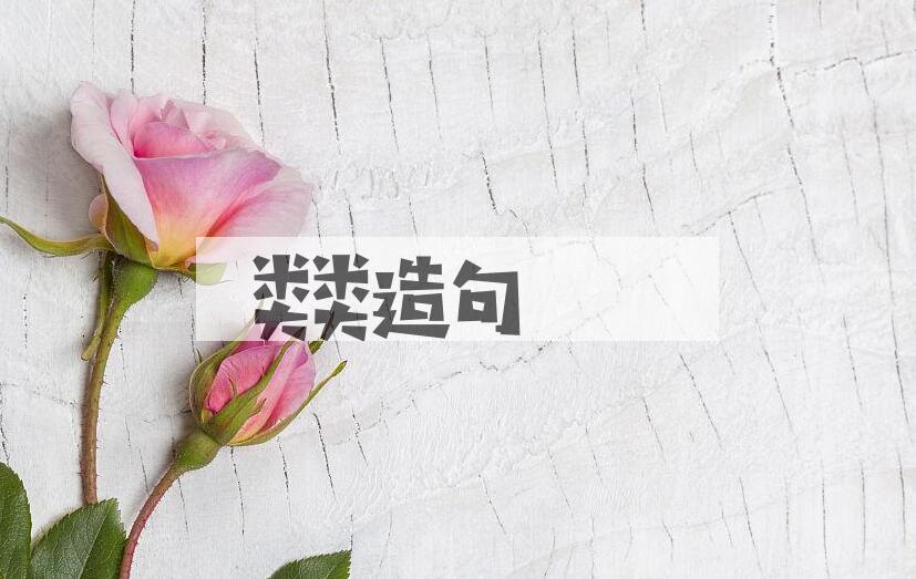 用类类造句