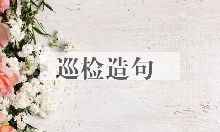 用巡检造句