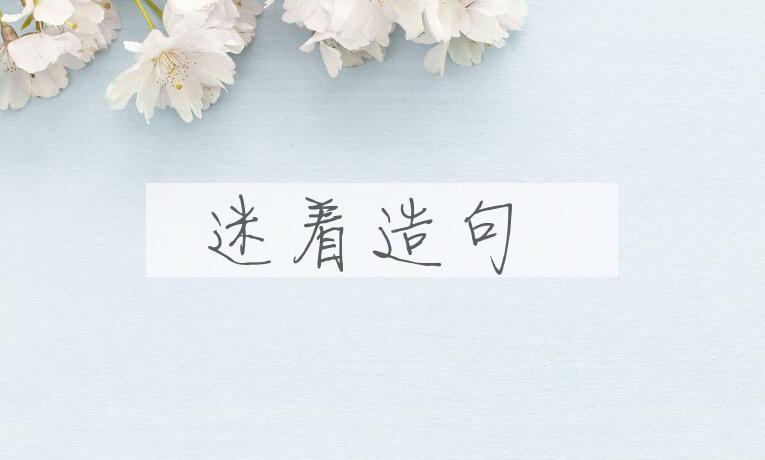 用迷着造句